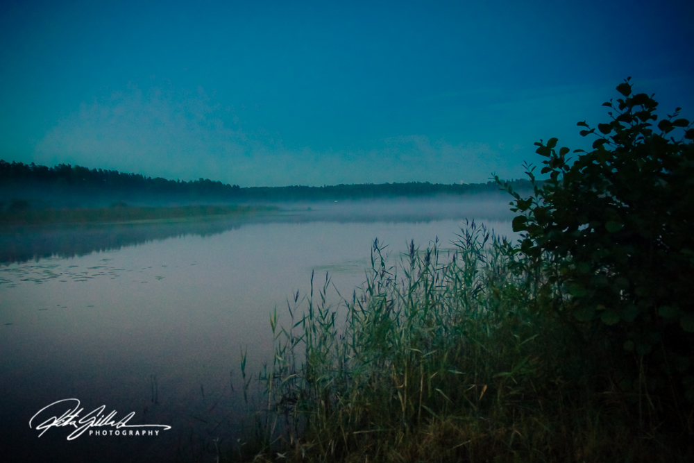 sunset and mist-04626