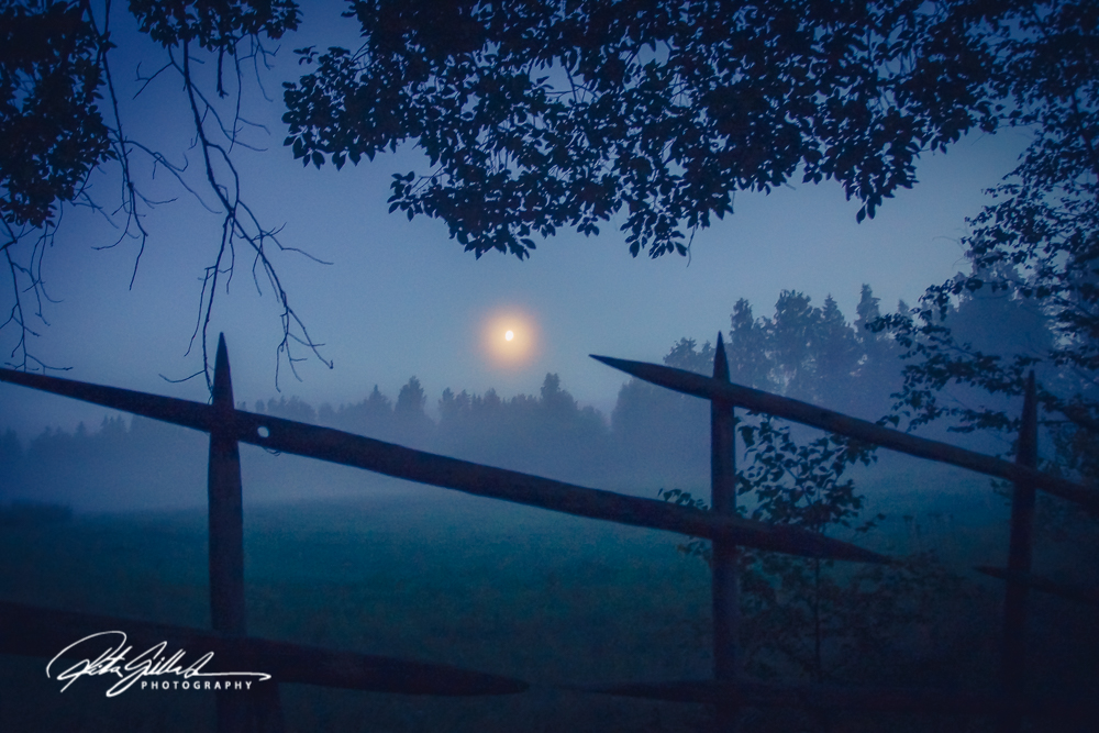 sunset and mist-04639