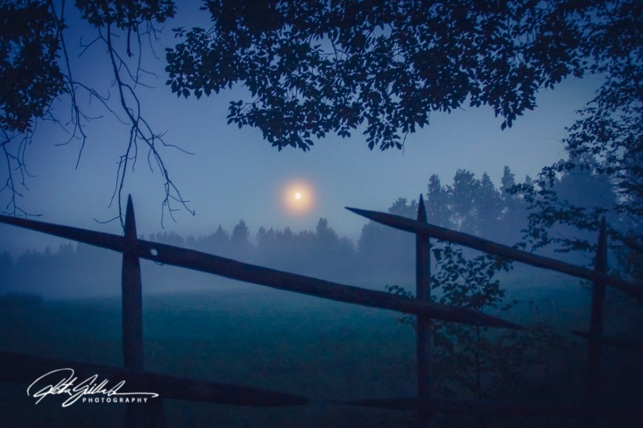 sunset and mist-04639