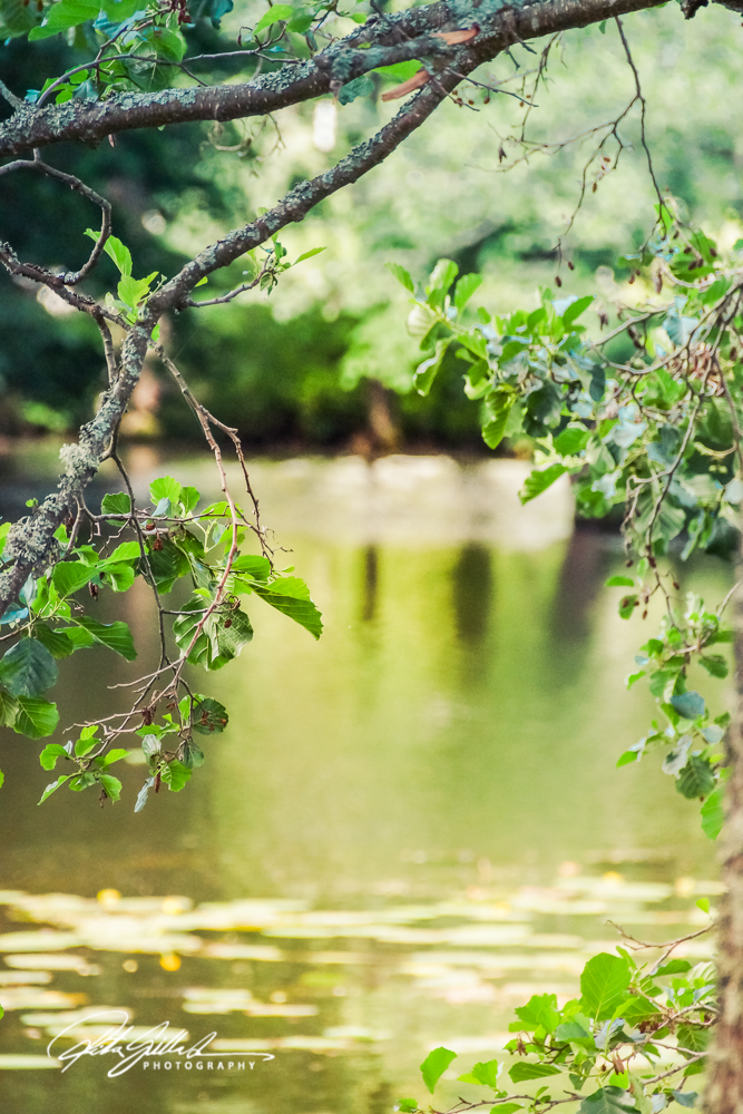 Stromfors ruukki-04215