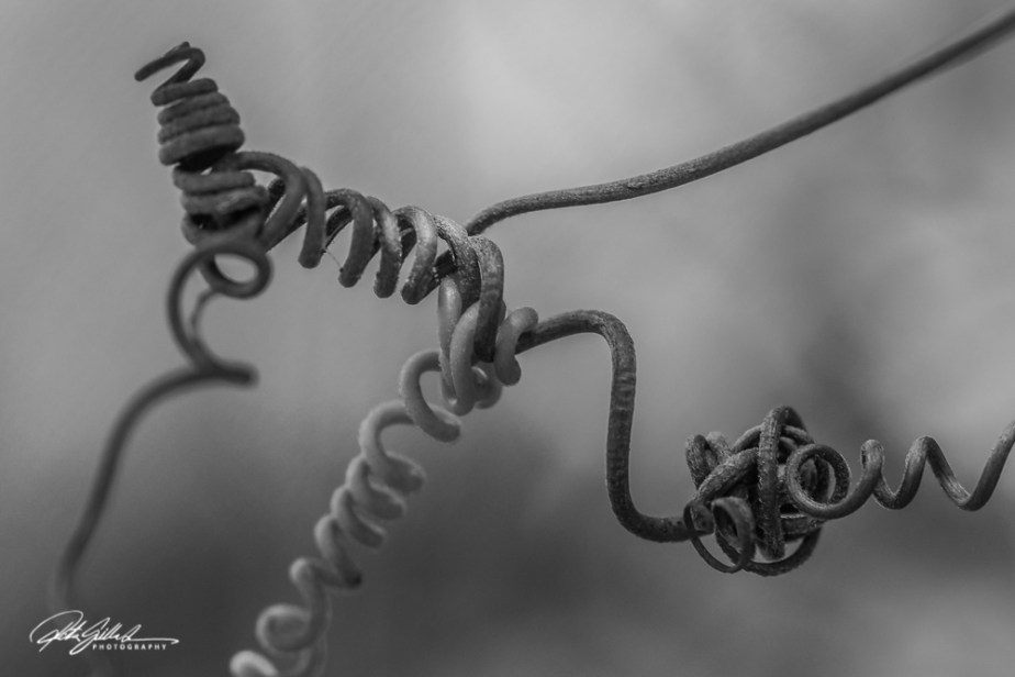 Knots-3