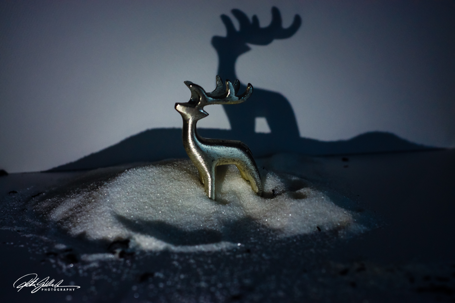 dear in wonderland (10)