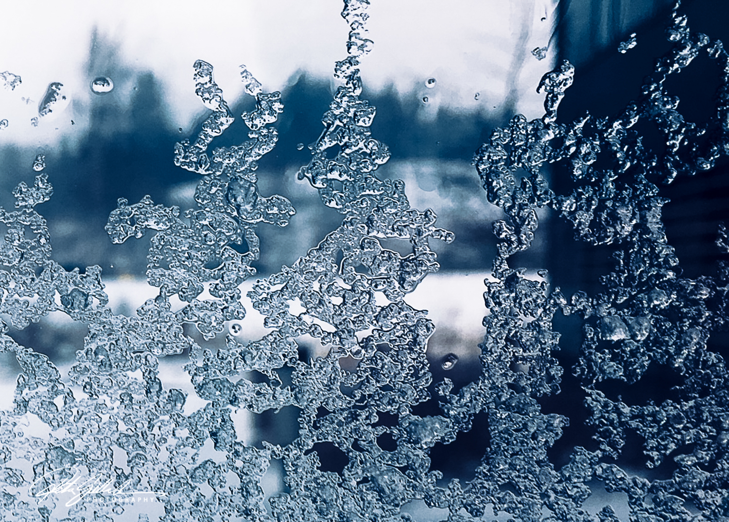 how to survive (5 of 7)