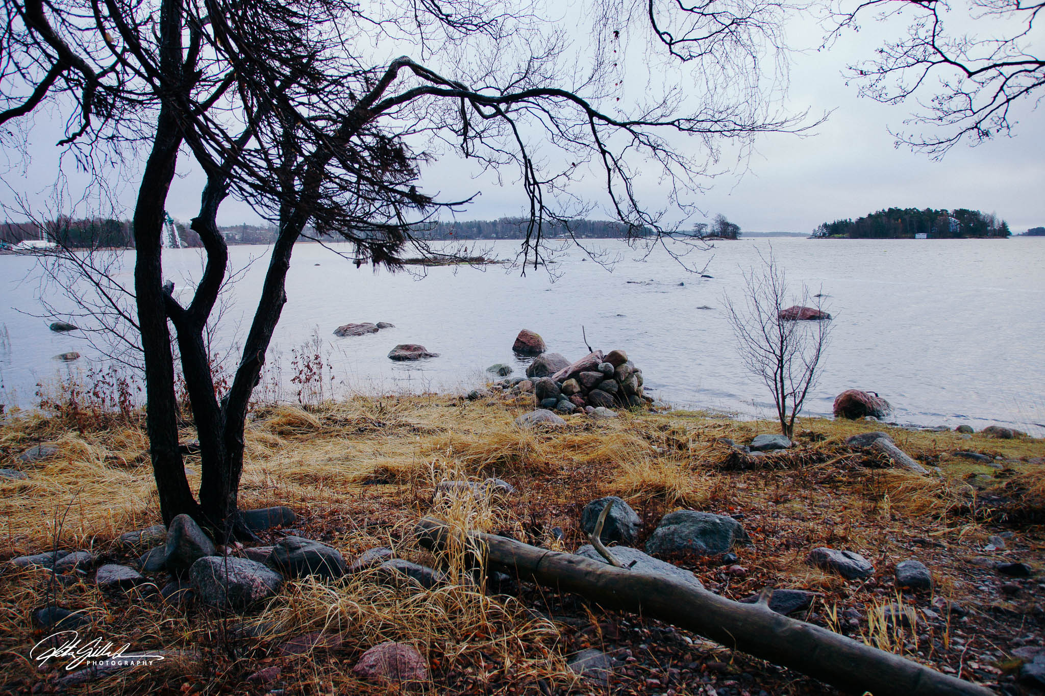 November day (22 of 73)