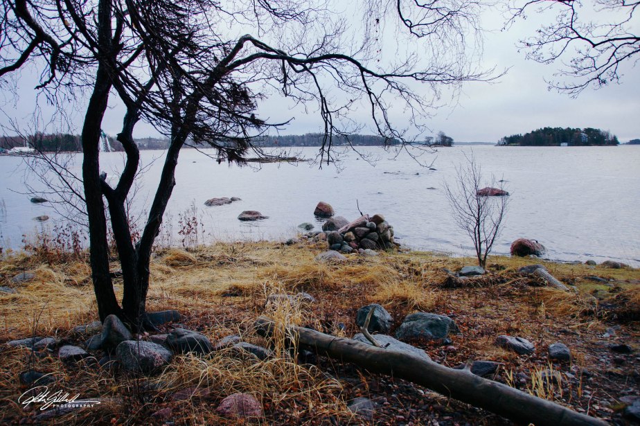 November day (22 of 73)