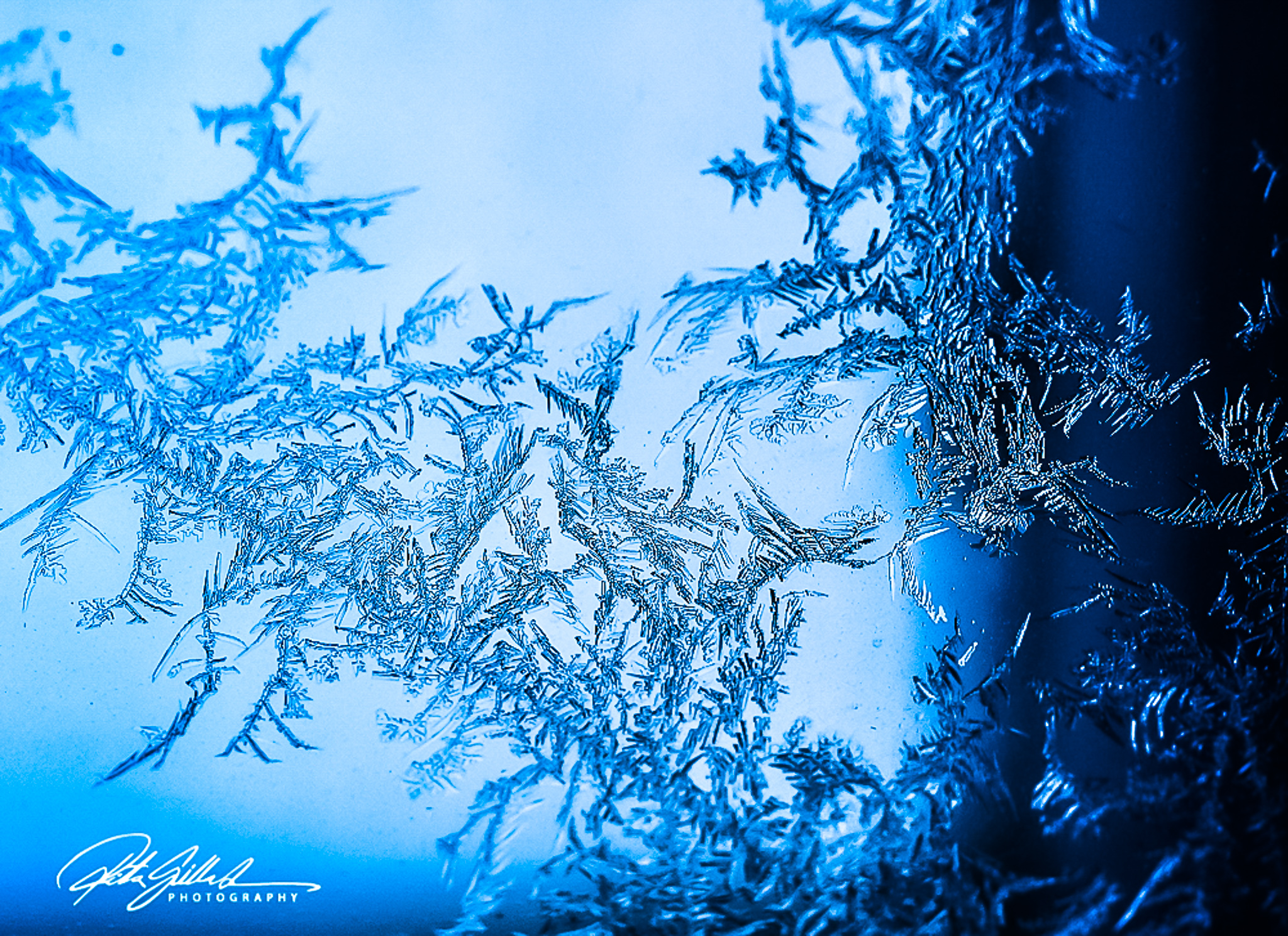 joulu2018-1 (4 of 5)