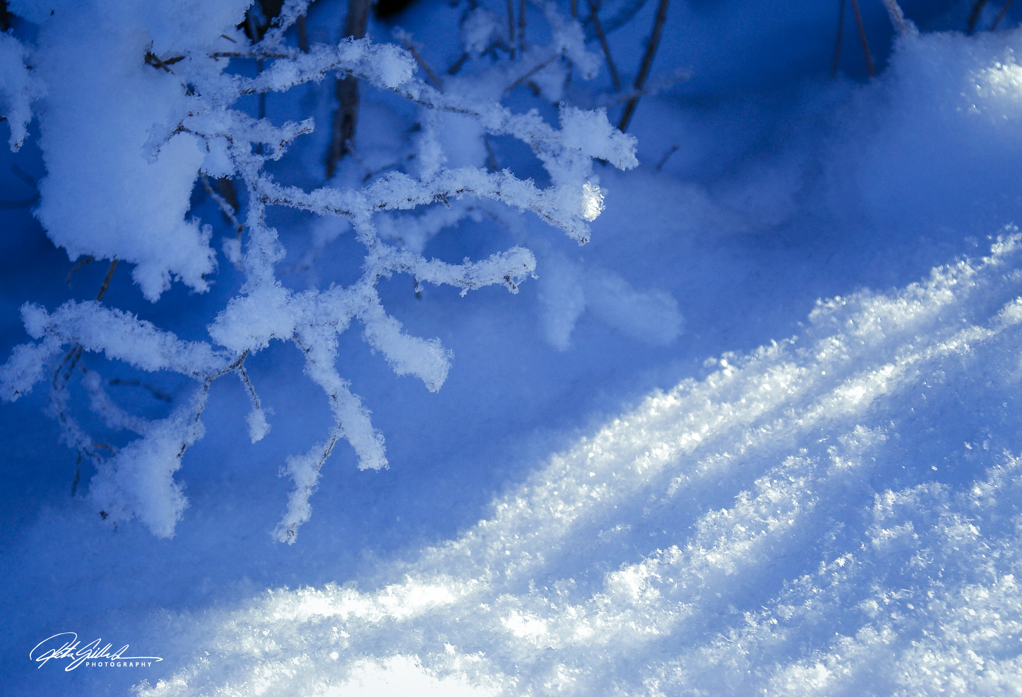 sunny winter day (11 of 14).jpg