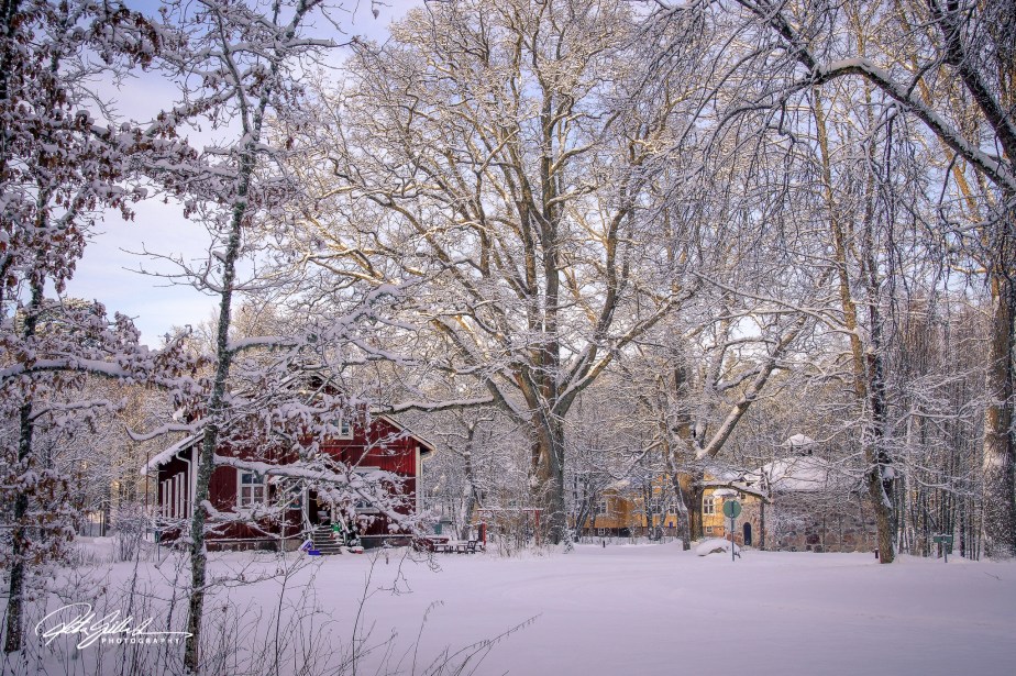 untitled (12 of 18).jpg