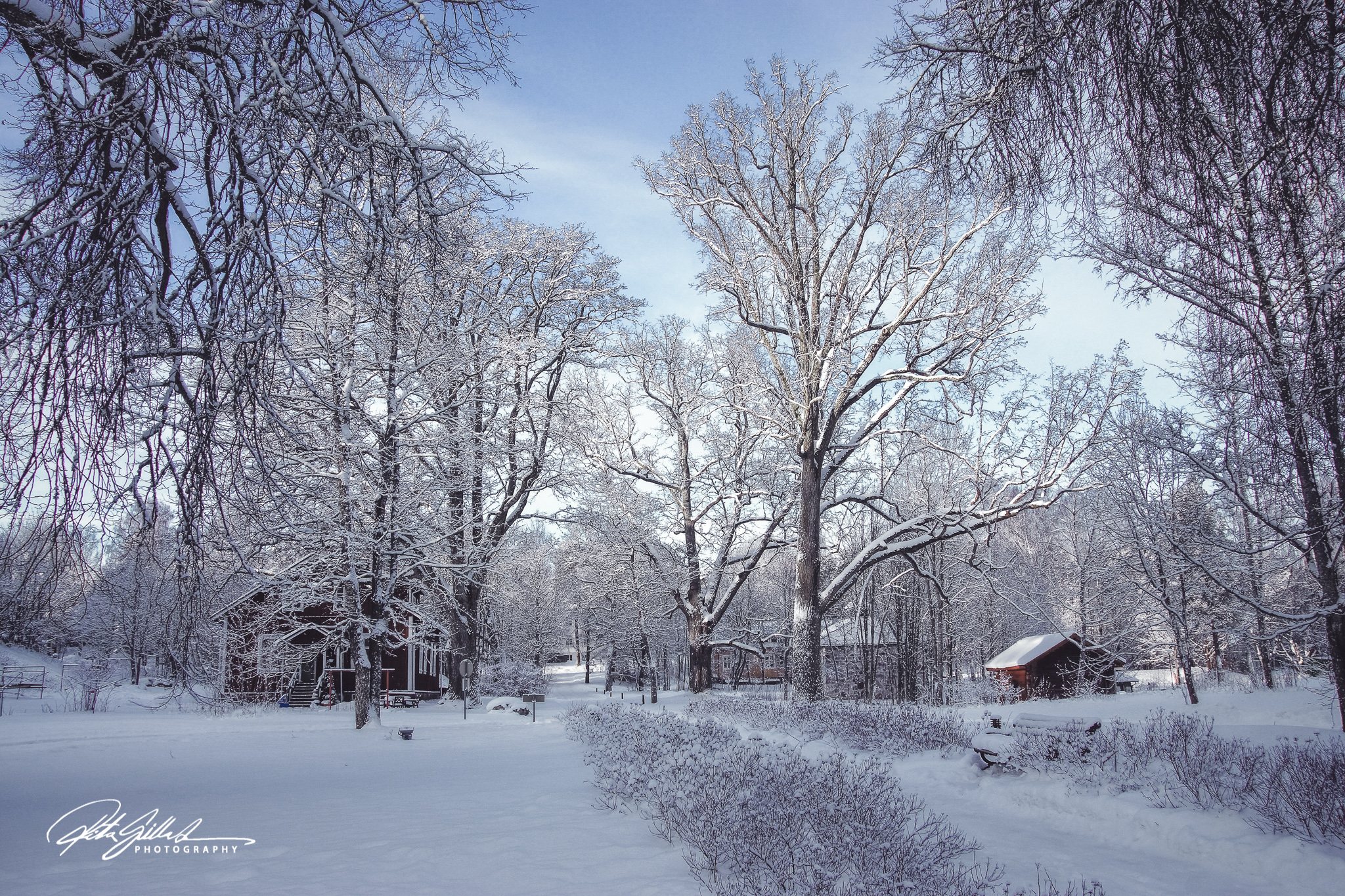 untitled (14 of 18).jpg