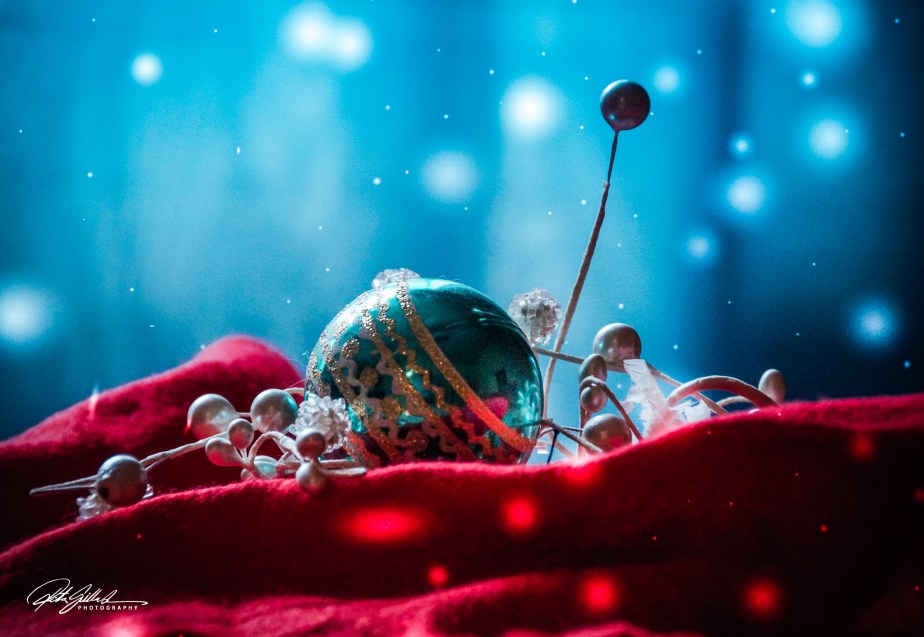 How to survive November 2021 Day&nbsp;30