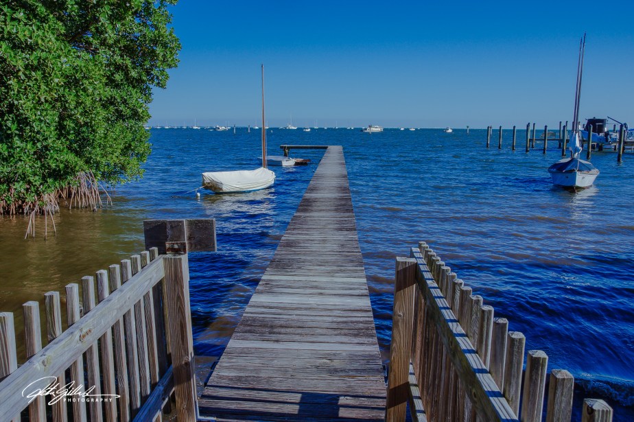 Florida shots (19 of 68)