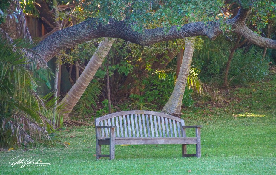 Florida shots (20 of 68)