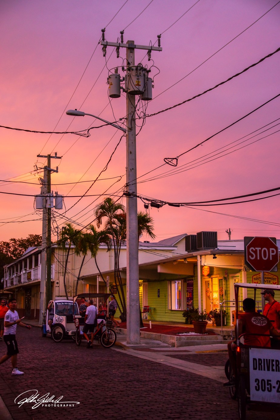 Florida shots (39 of 68)