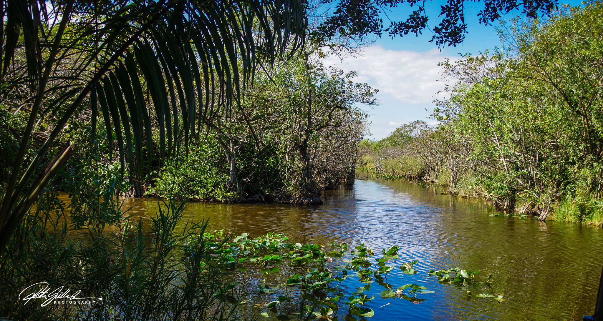 Florida shots (46 of 68)