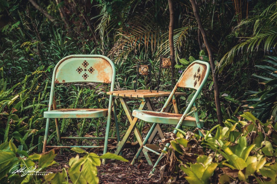 Chairs Amidst Nature