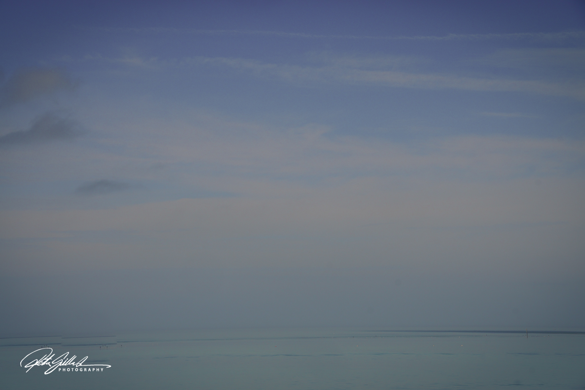 Florida shots (374 of 2035)