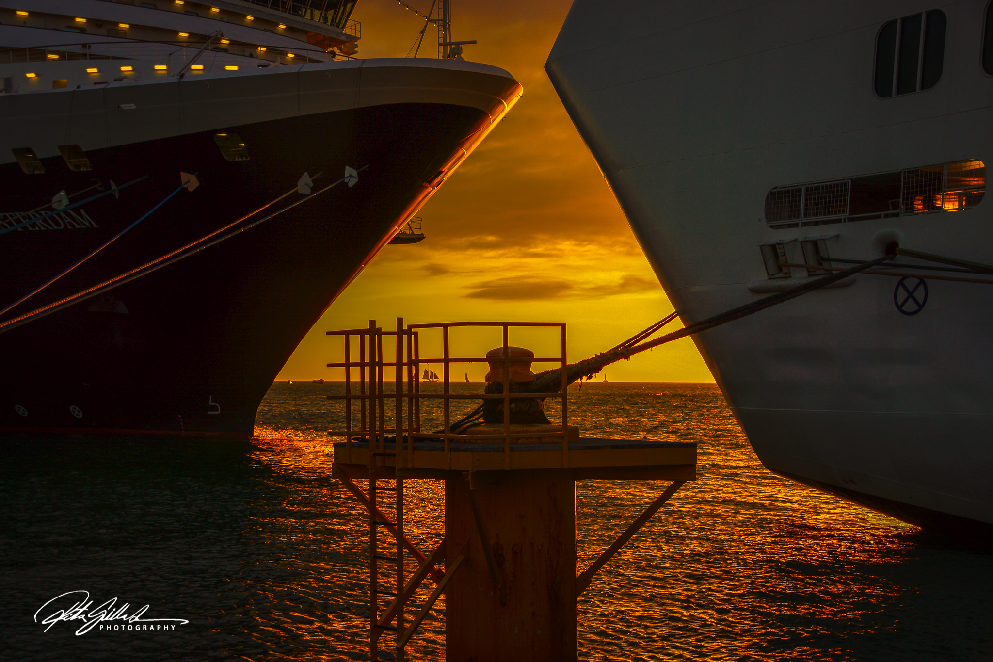 Florida shots (463 of 2035)