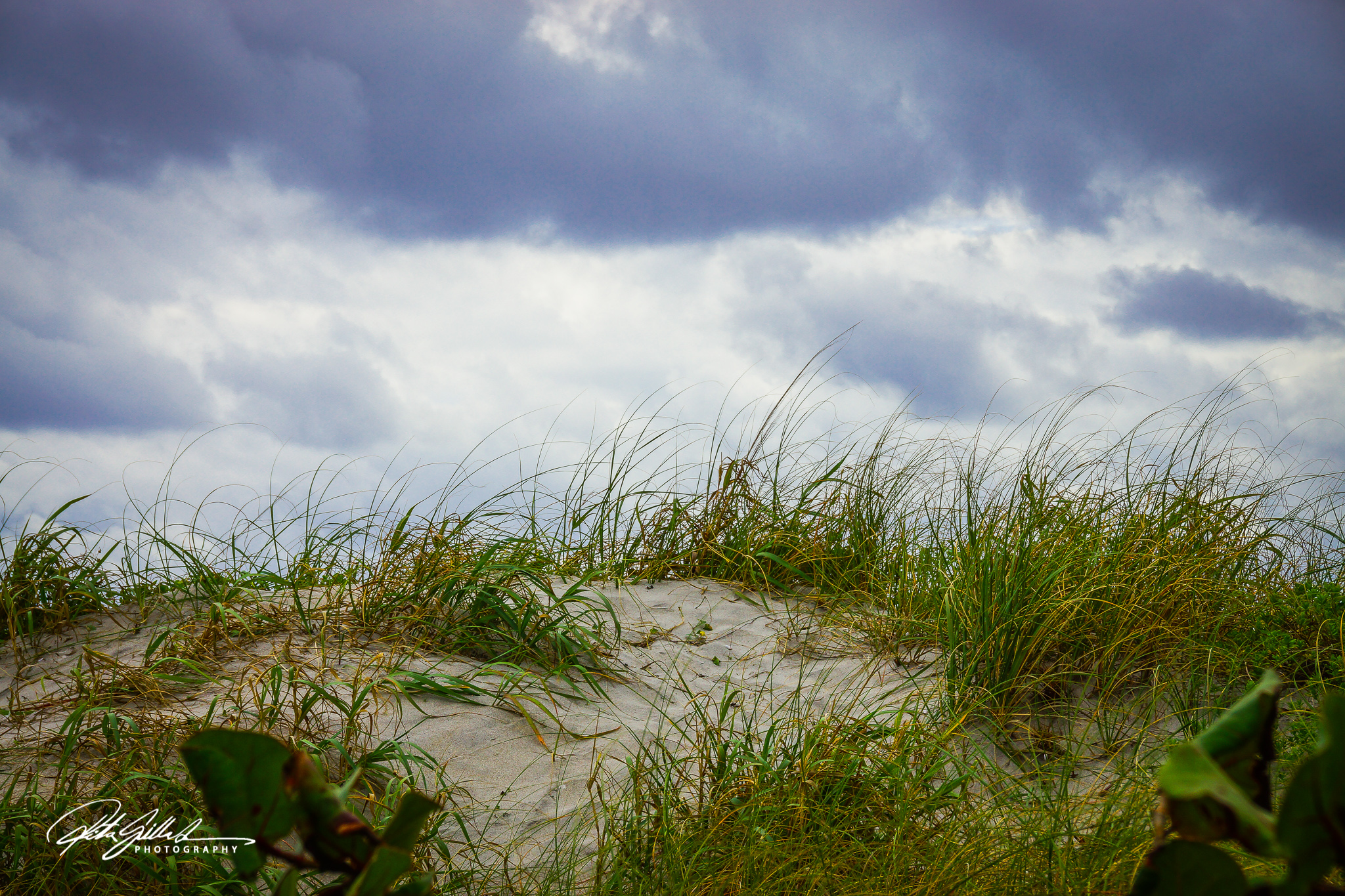 Florida shots (57 of 2035)