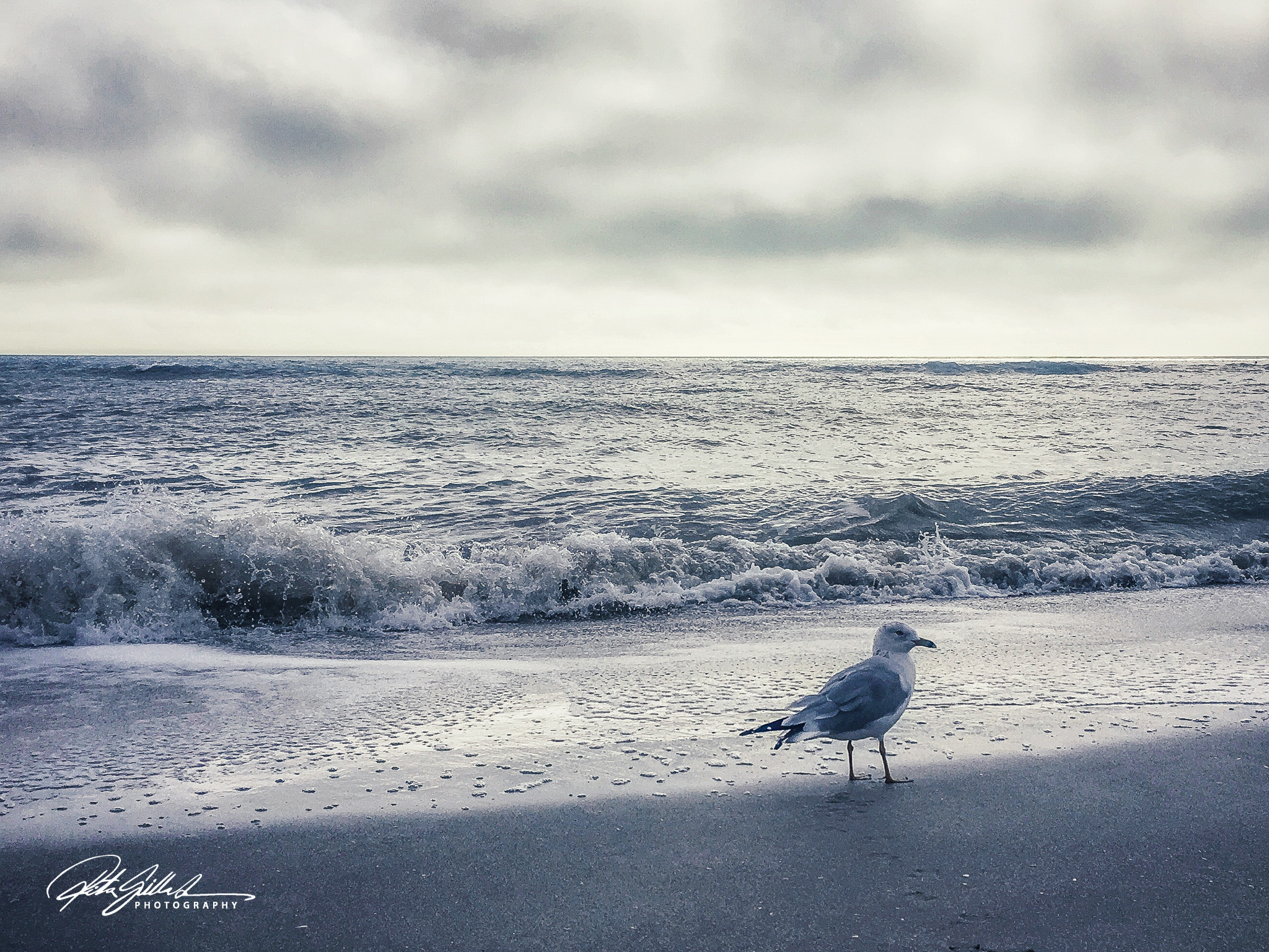 Florida2018 (310 of 360)