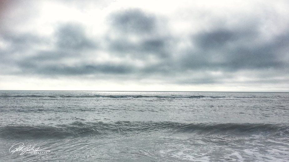 Florida2018 (312 of 360)