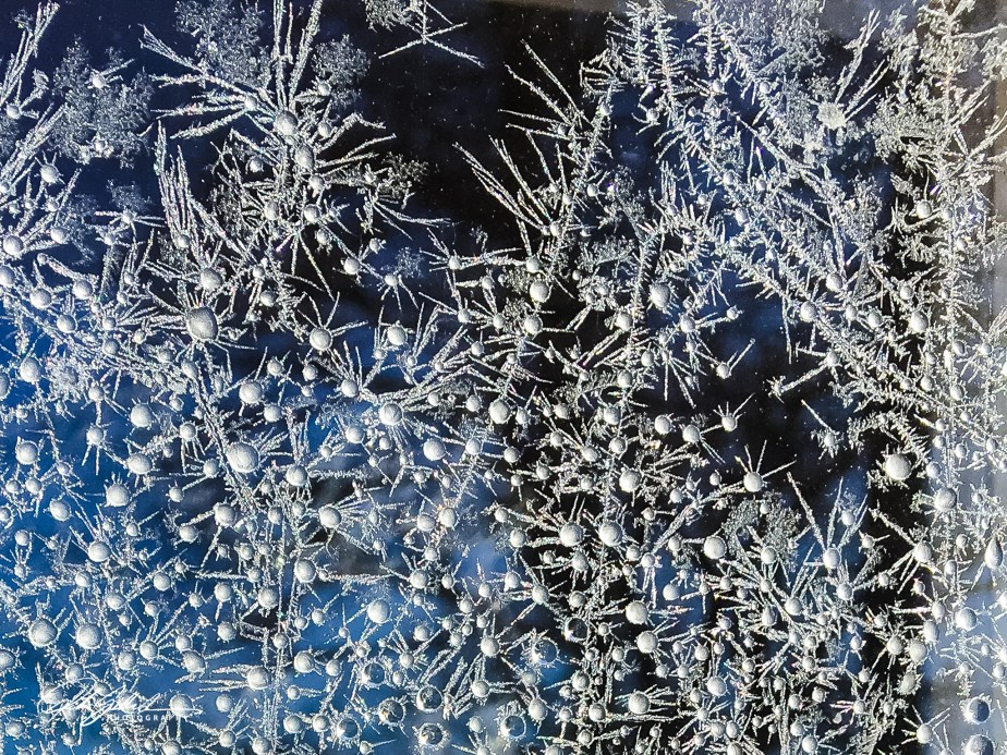 frost flowers (2 of 18)