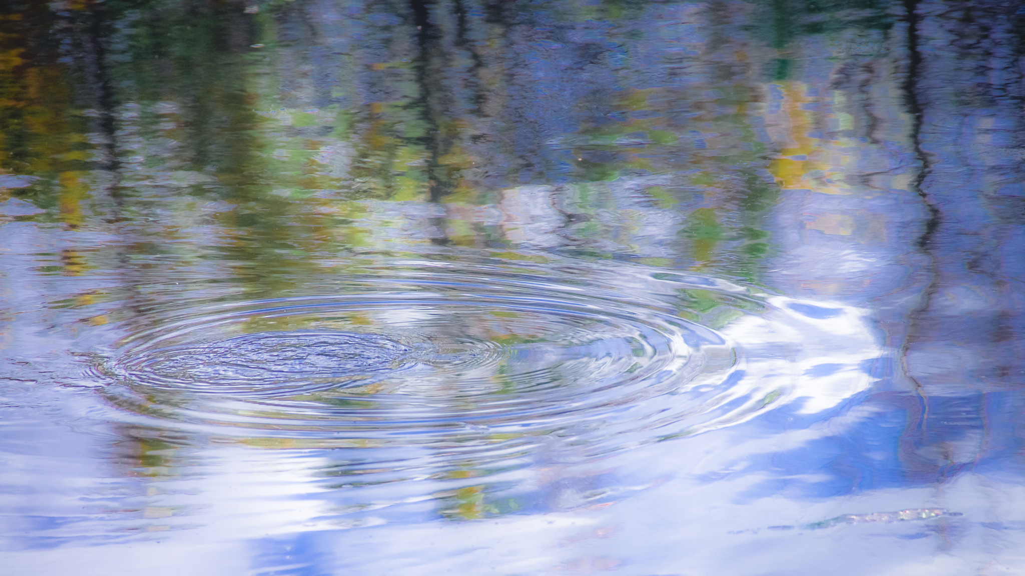 Soft ripples (1 of 1)