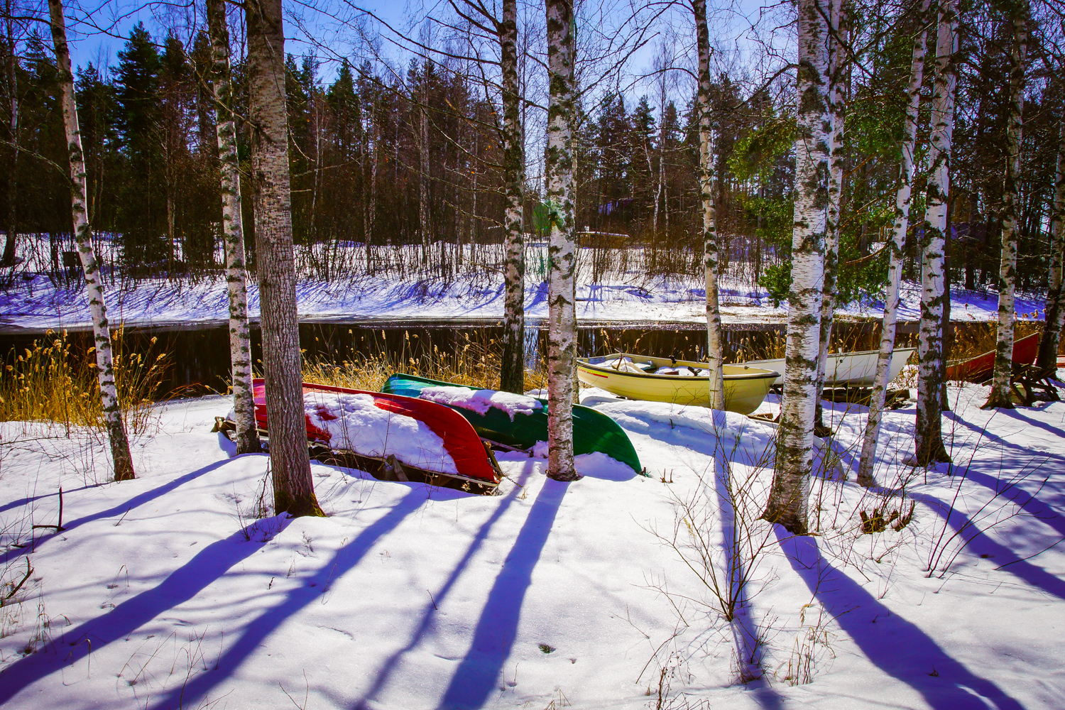 Winter landscape (21 of 100)