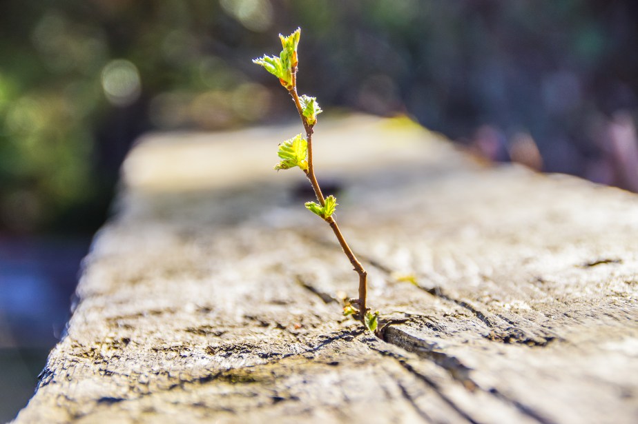 Minimalist (5 of 22)