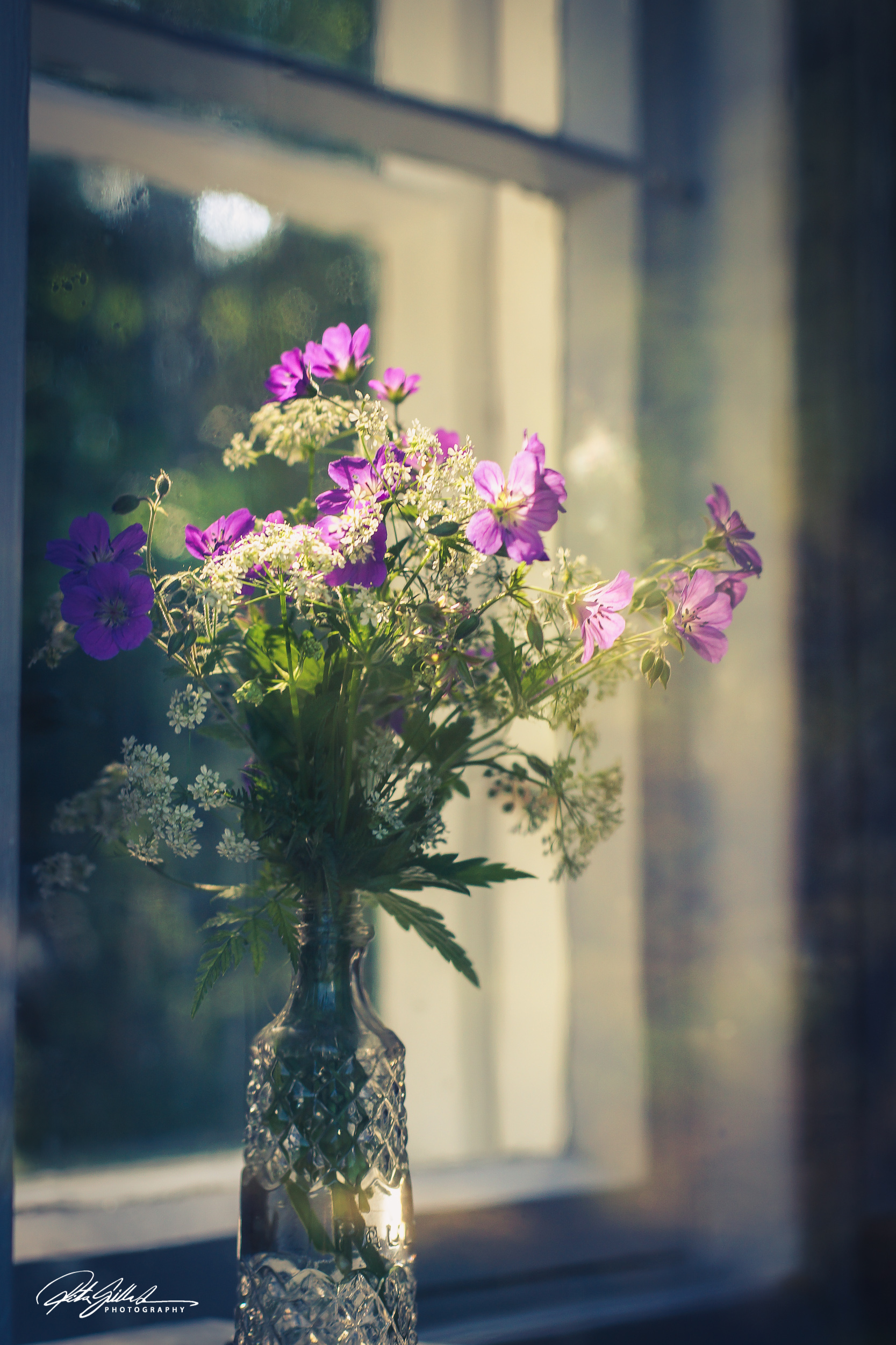 Summer flowers (43 of 118)