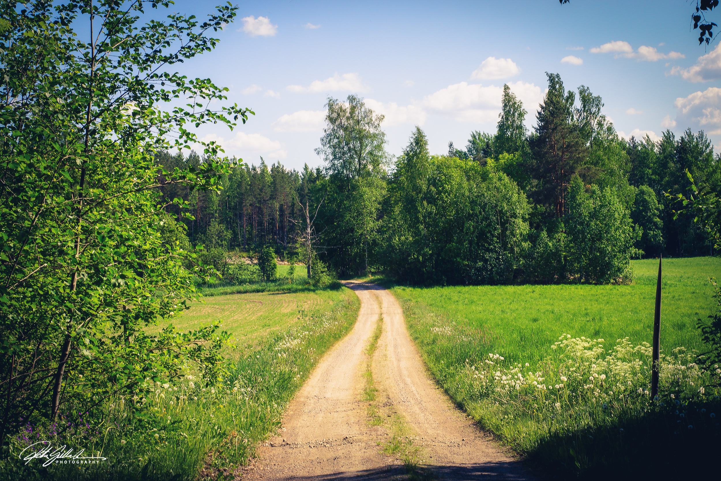 Summer flowers (99 of 118)