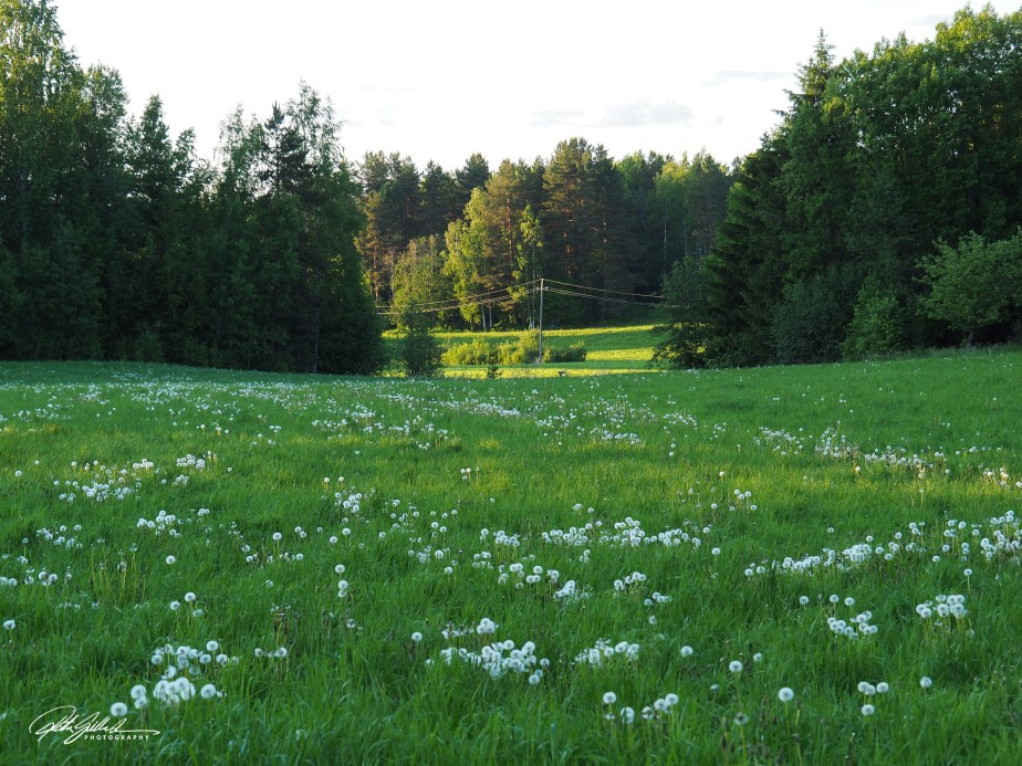 June – summer is&nbsp;here