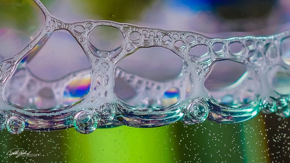 Bubbles 10-10 (1 of 21)