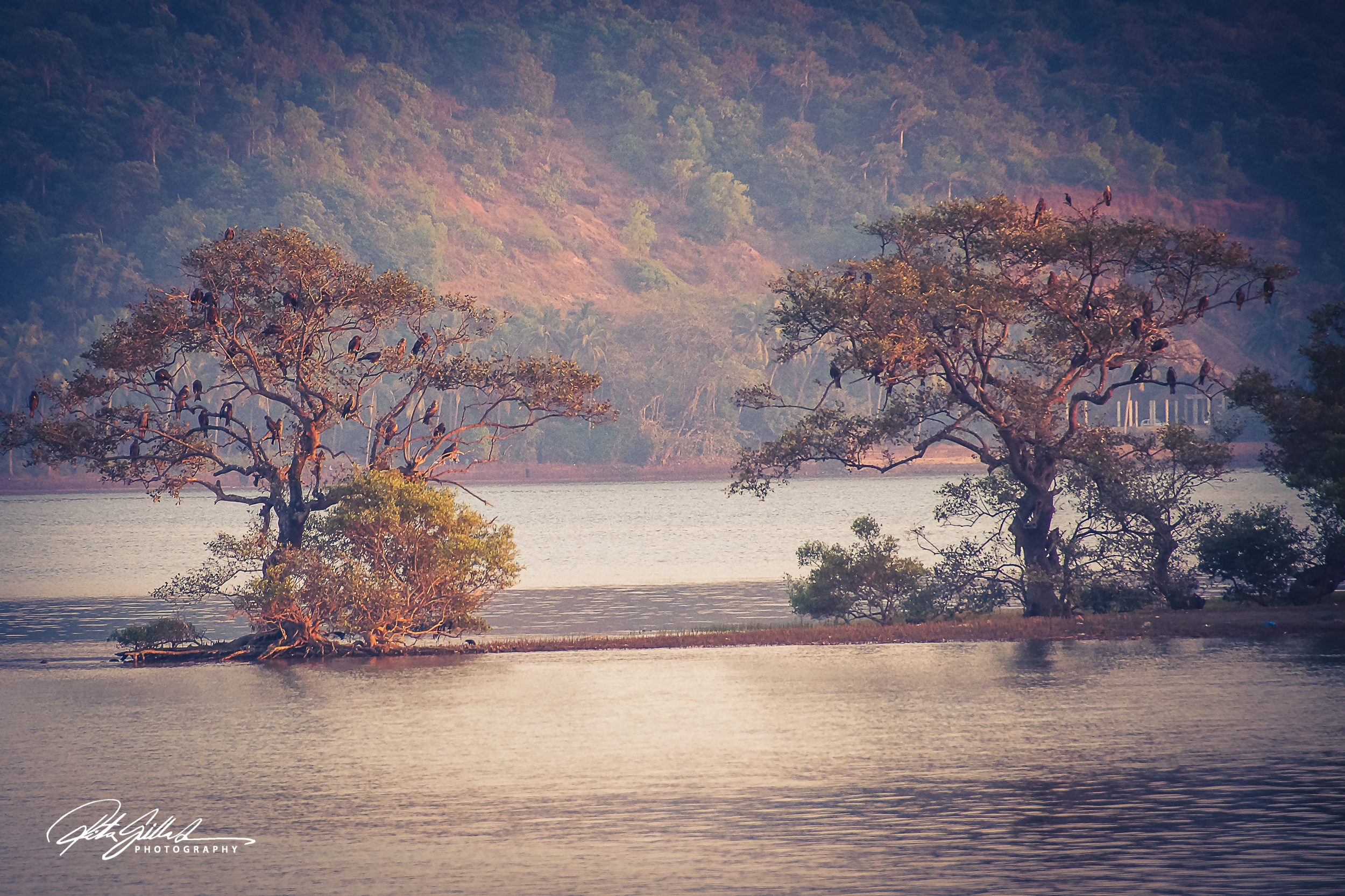 Chapora river  (15 of 39).jpg