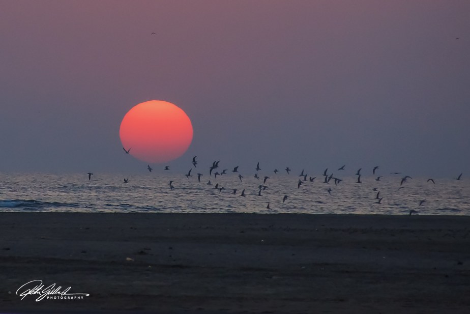 Lens-Artist Photo Challenge #244—Glowing&nbsp;moments