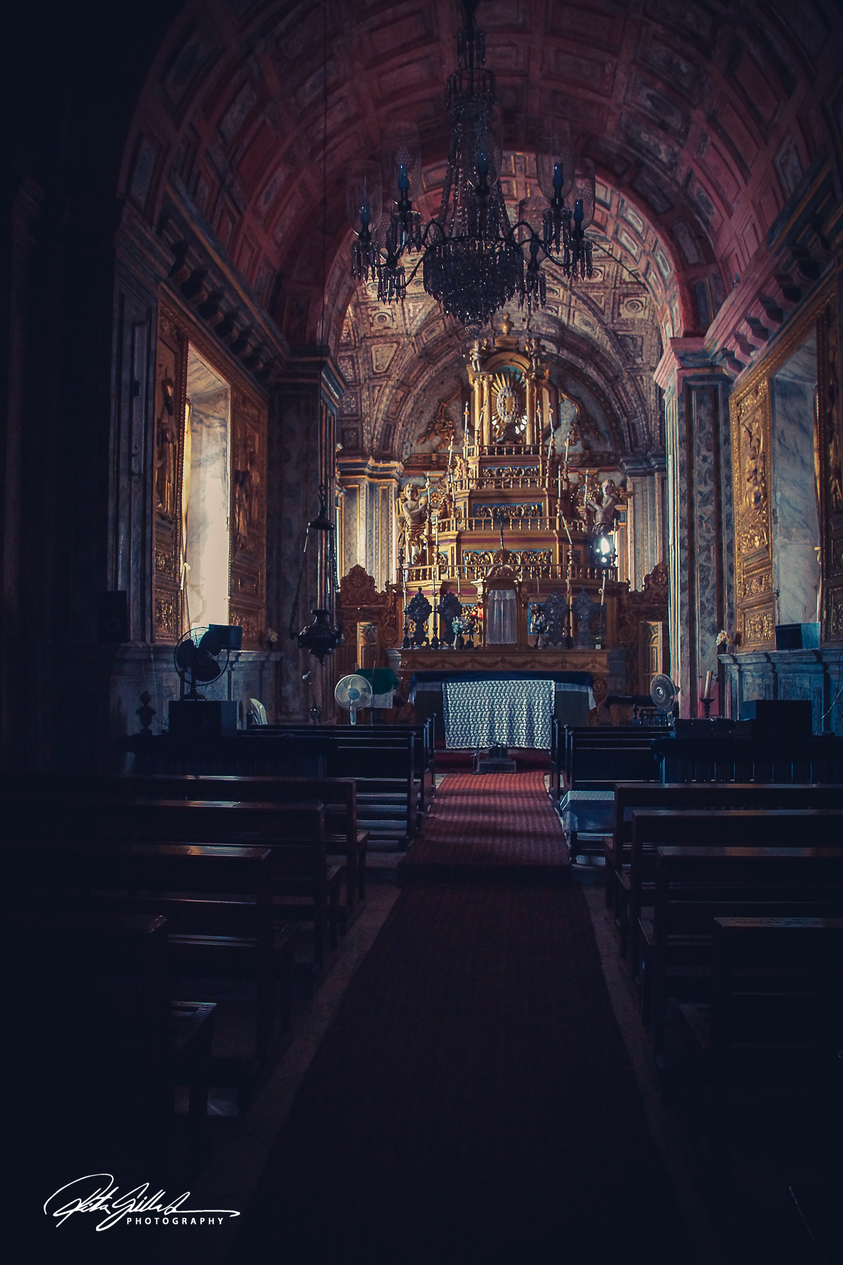 India 3 (24 of 124).jpg