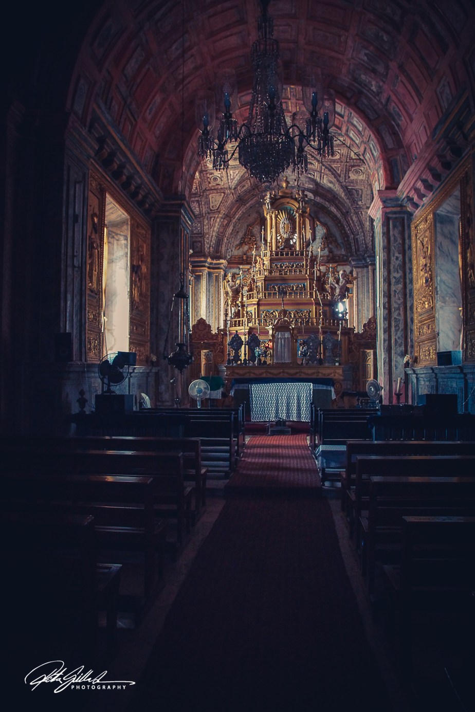 India 3 (24 of 124).jpg