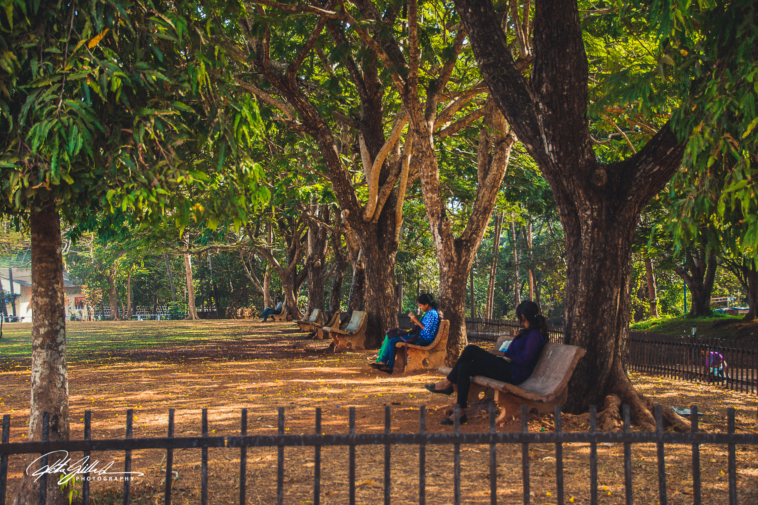 India 3 (29 of 124).jpg