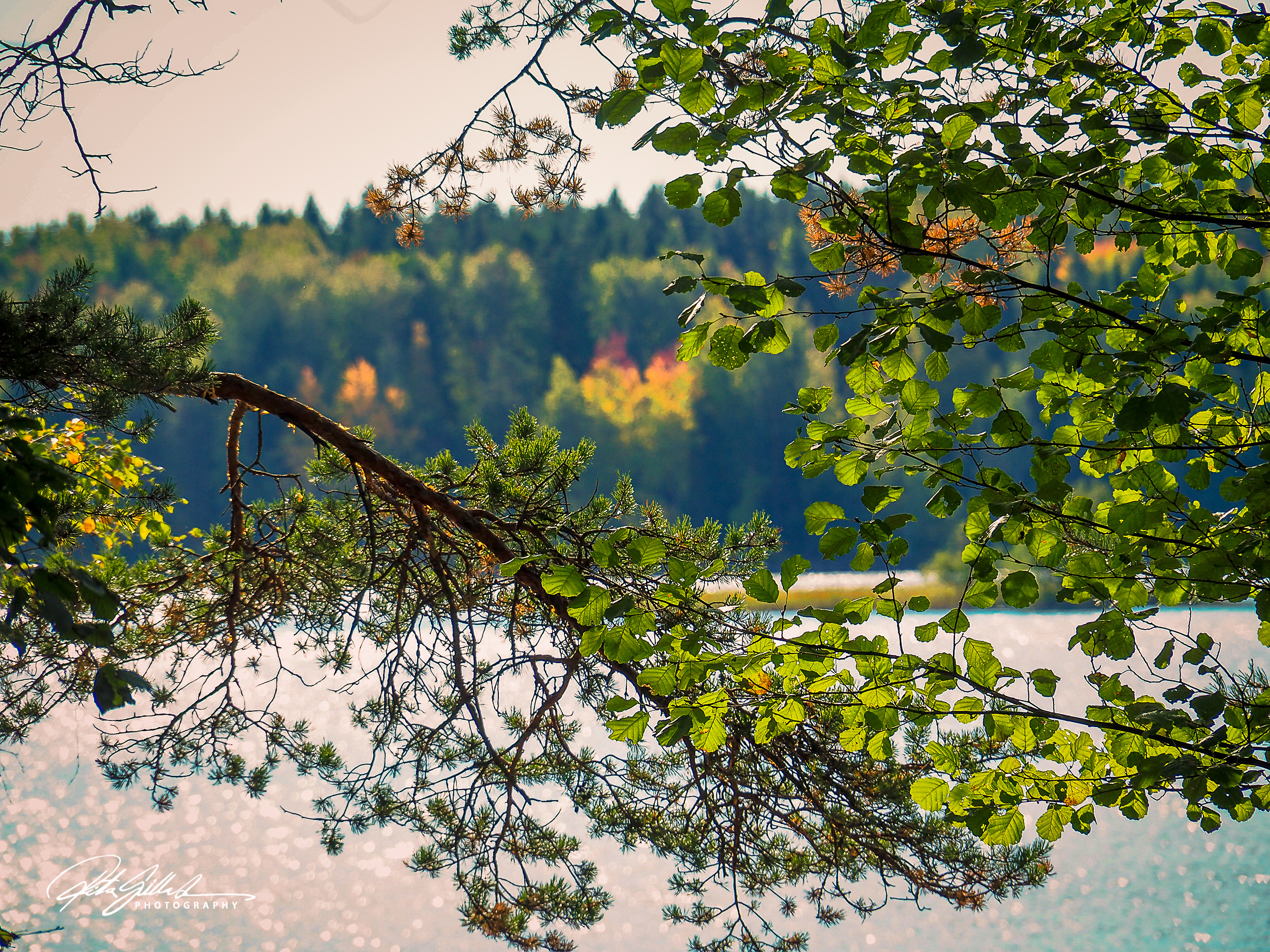 autumn in Lahti (117 of 237).jpg