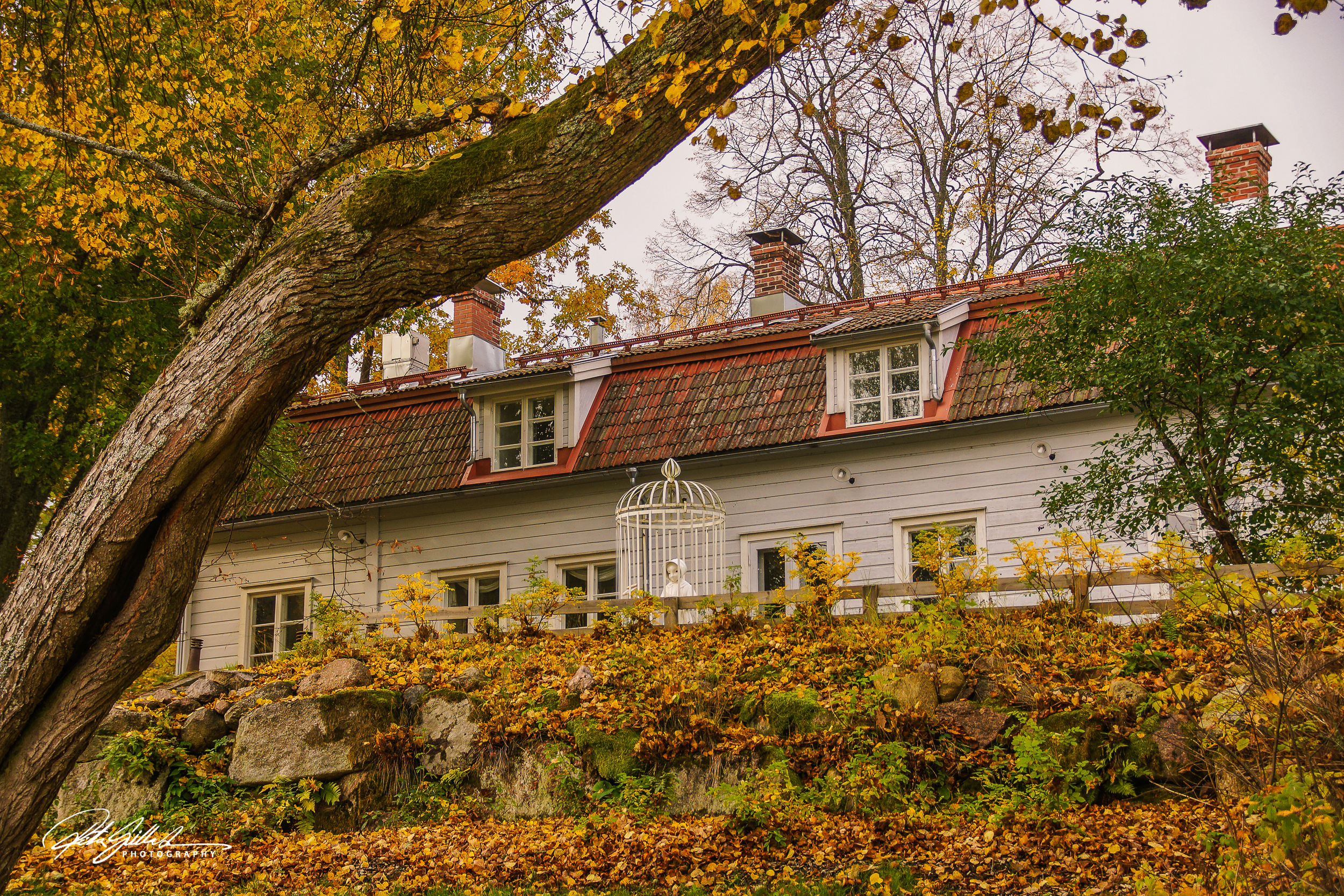 Vols 2018 (102 of 259)