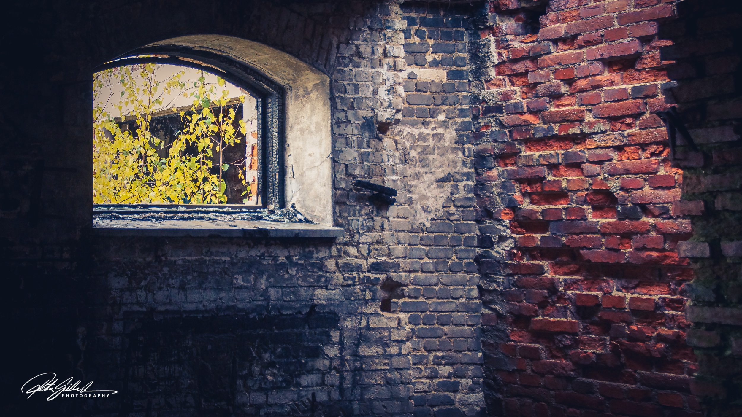 Vols 2018 (214 of 259)