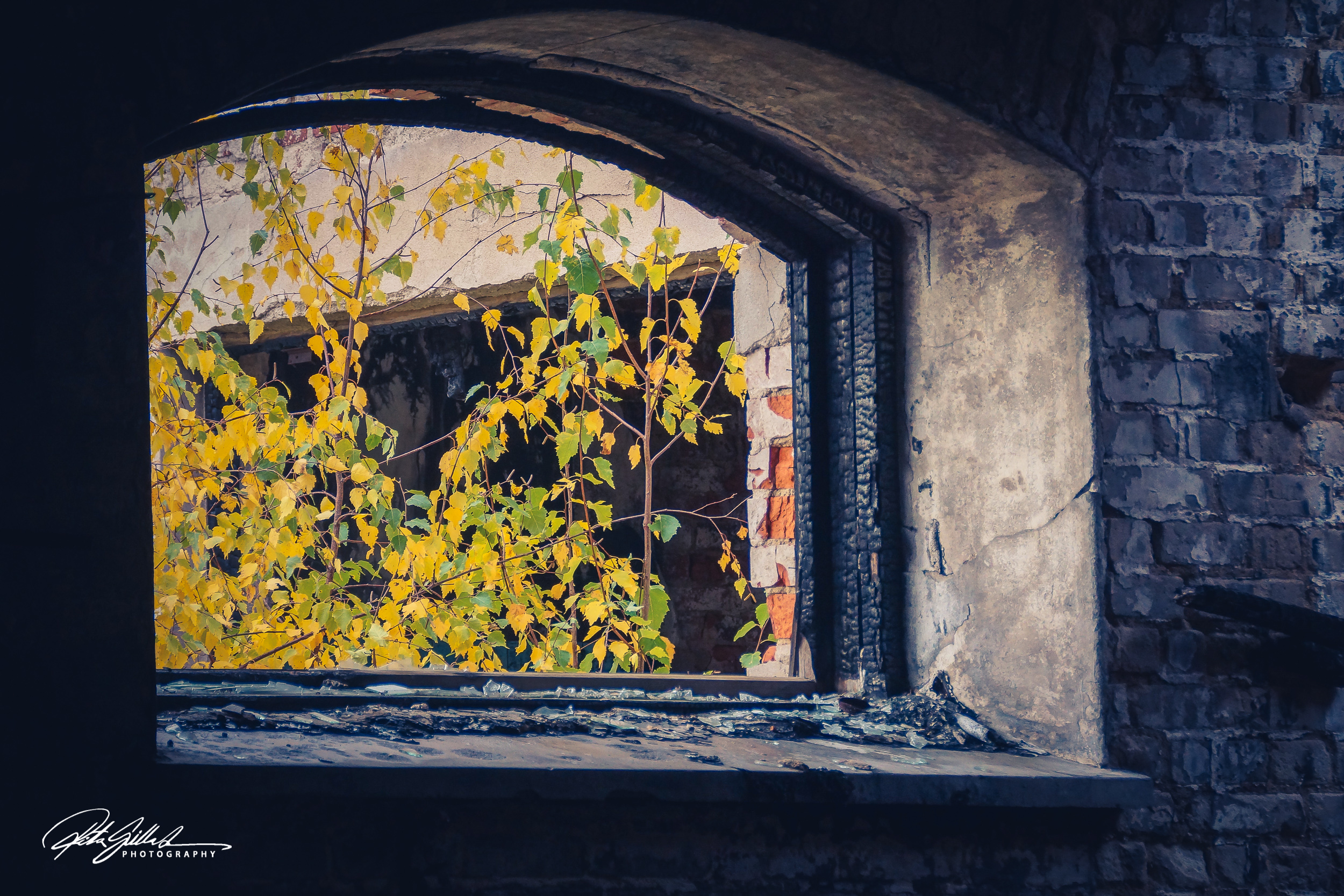 Vols 2018 (215 of 259)