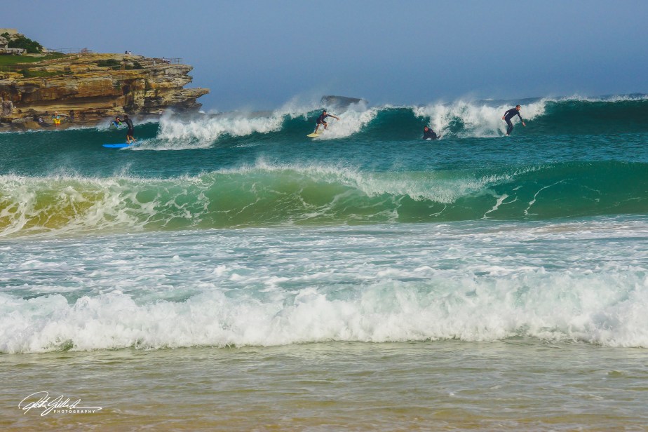 Lens Artists #367 – Everyone Should See&nbsp;This