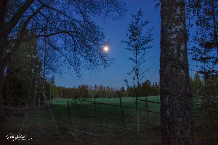 Blue moon of&nbsp;May