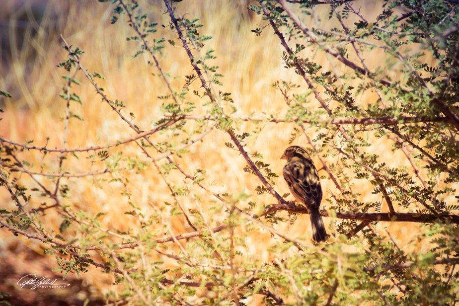 Saturday Classics –&nbsp;20052023