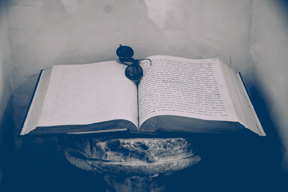 How to Survive November 2022 –&nbsp;24