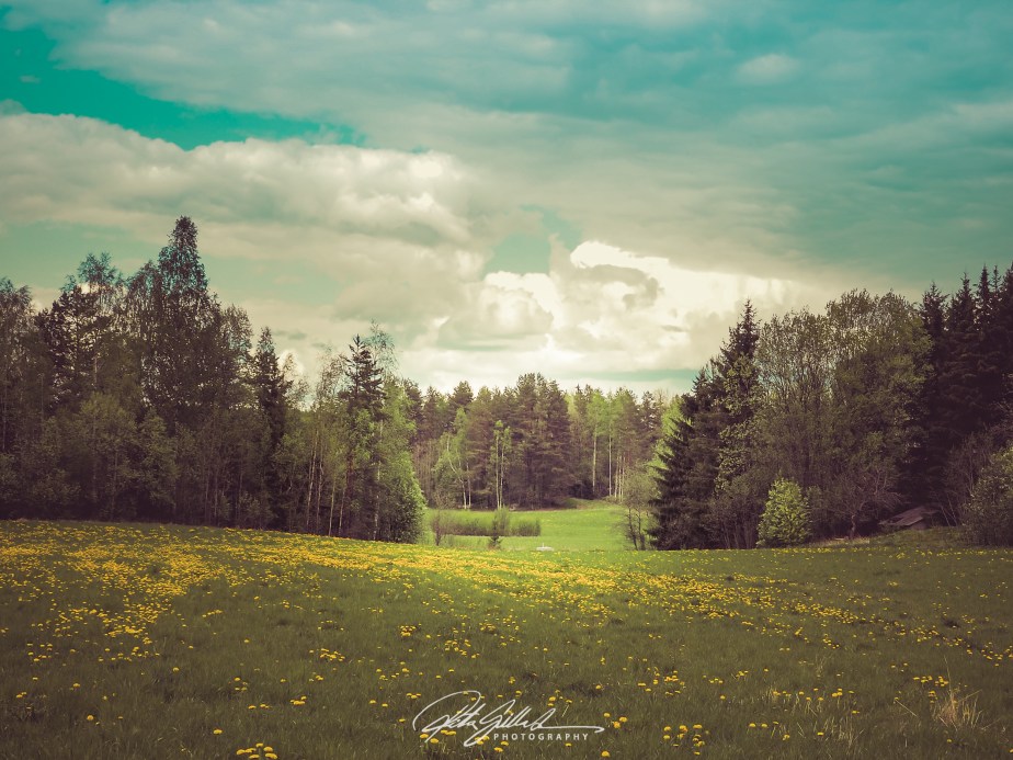 View like a&nbsp;painting