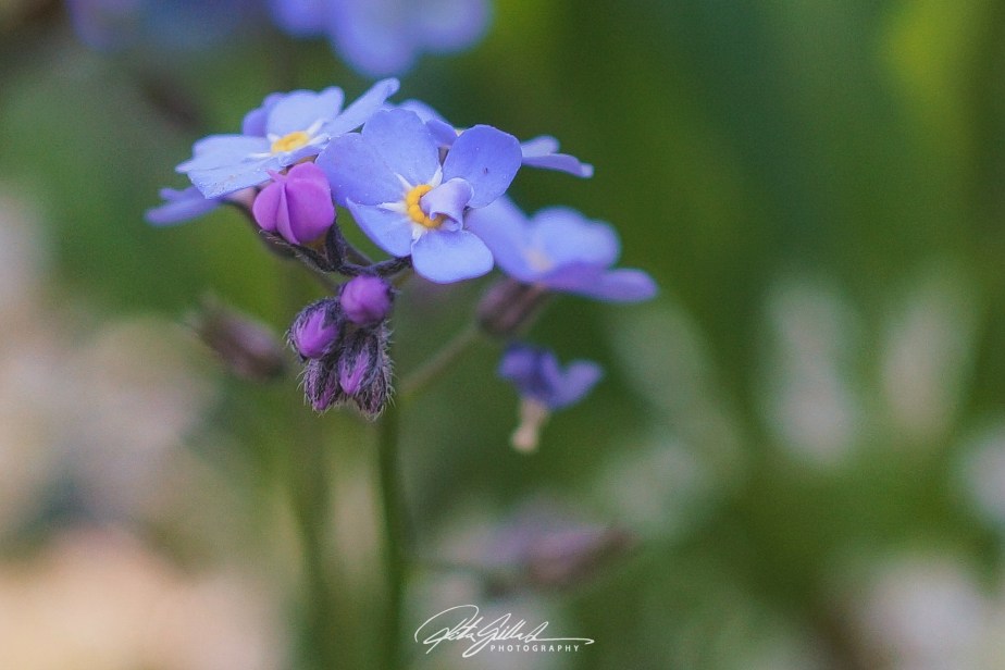 Spring 2023 –&nbsp;3