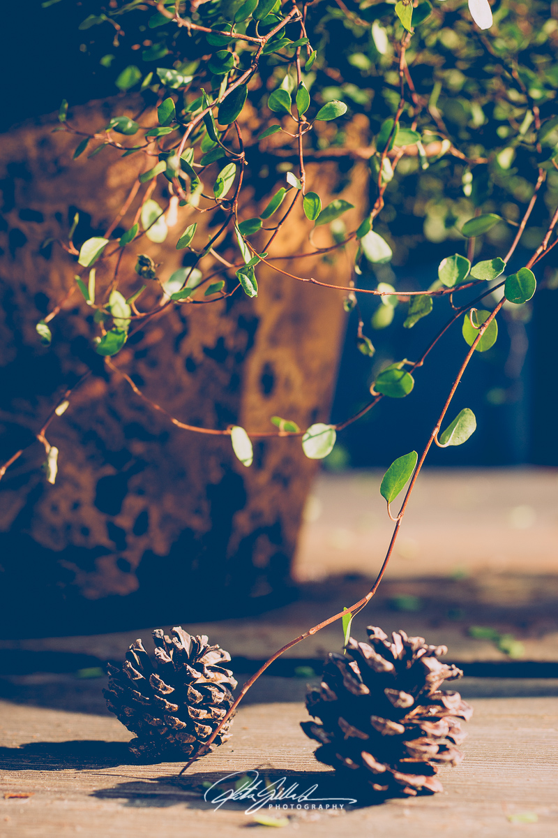 Brown symbolizes:  comfort