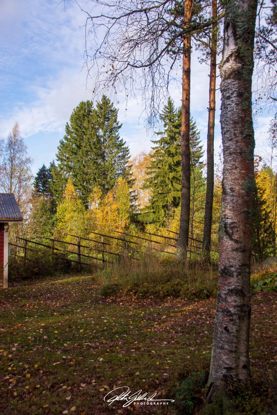 The mellow, messy, leaf-kicking…