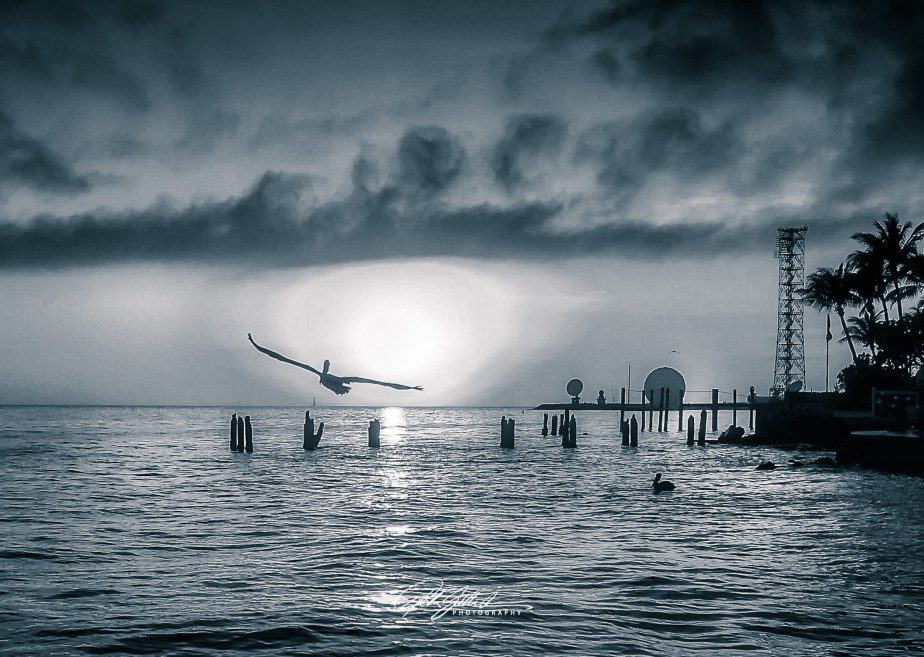 How to survive November&nbsp;2020-19